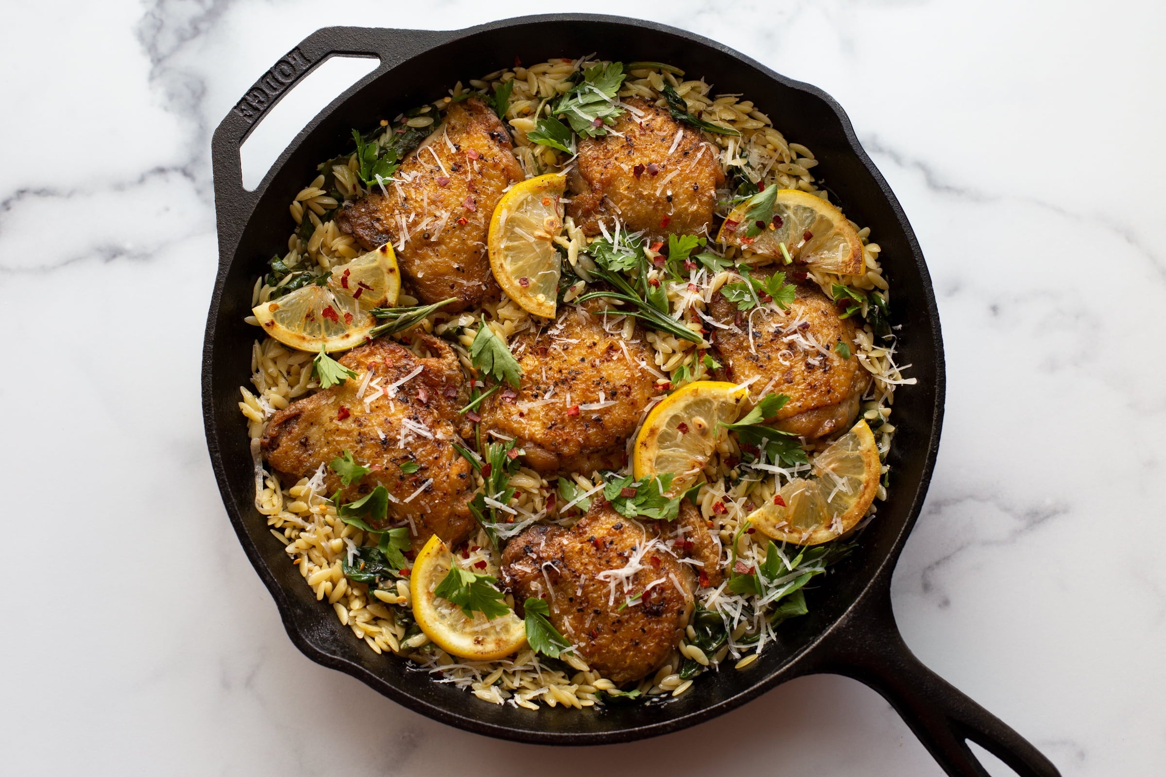 Lodge Cast Iron 12" Boy Scouts Seasoned Skillet