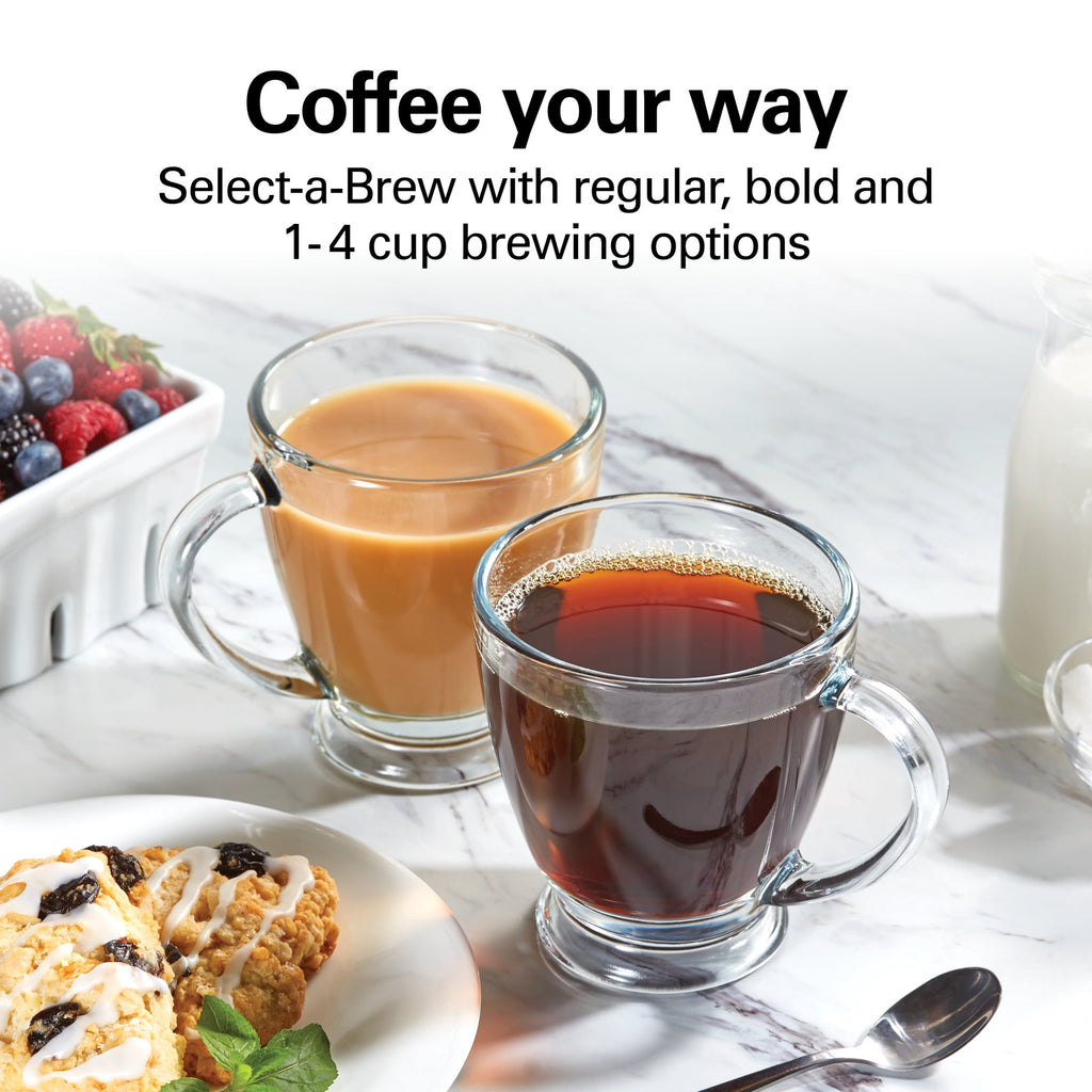 Hamilton Beach Bold Brew 12-Cup Programmable Drip Coffee Maker Machine with Glass Coffee Pot - Black
