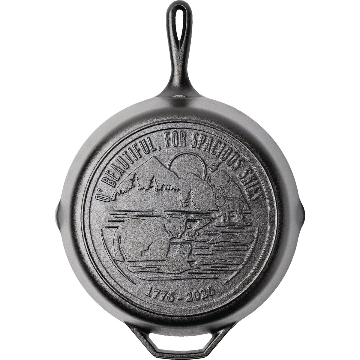 Lodge Mfg Co Lodge USA 250 Cast Iron Skillet - Single Pack